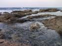IMG_0024